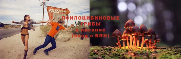 таблы Алексин