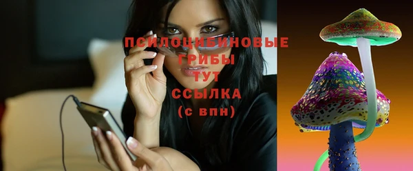 2c-b Алзамай