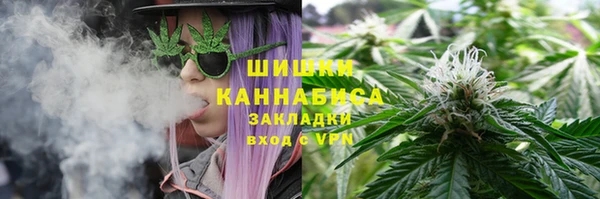 2c-b Алзамай