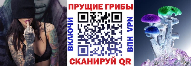 Псилоцибиновые грибы Psilocybine cubensis где купить OMG ссылки Андреаполь